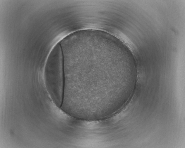 X0000115610892200911241614