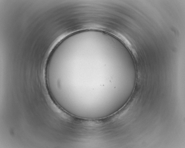 X0000115610947200911241613