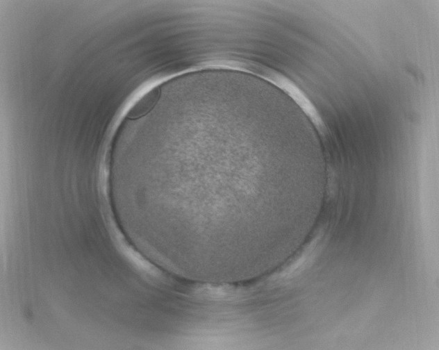 X0000115610955200911241613