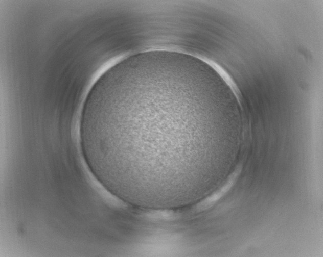 X0000115610957200911241613