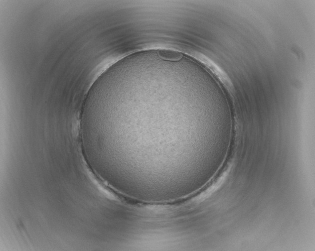 X0000115610993200911241612