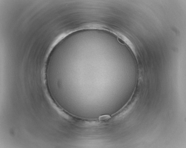 X0000115610997200911241612