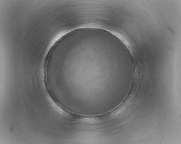 X0000115610998200911241612