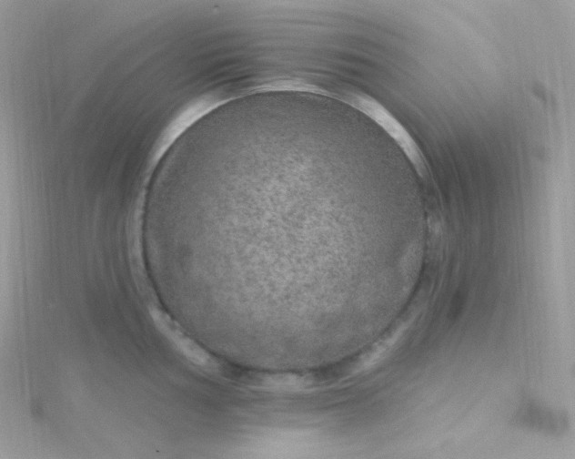 X0000115611002200911241612