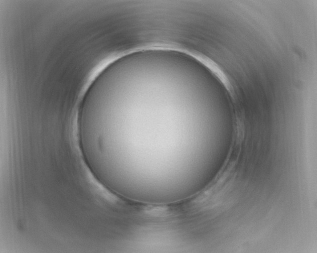 X0000115611006200911241612