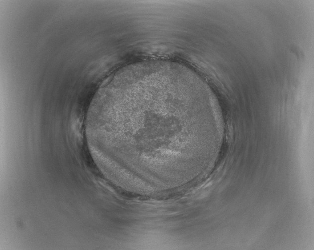 X0000115611010200911241612