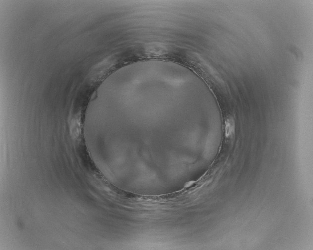 X0000115611011200911241612