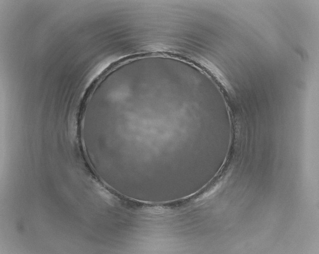 X0000115611023200911241612