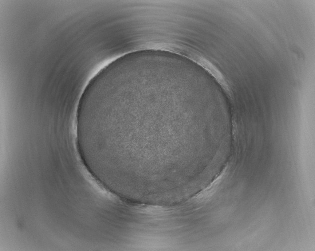 X0000115611028200911241612