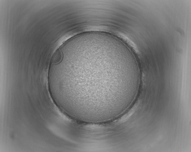 X0000115611033200911241612
