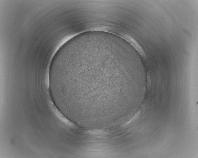 X0000115611036200911241612