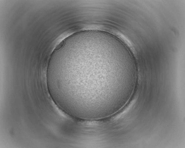 X0000115611041200911241612