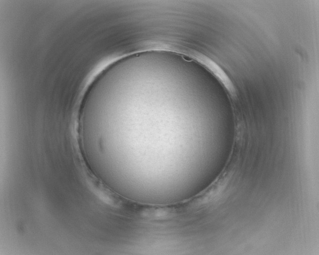 X0000115611051200911241612