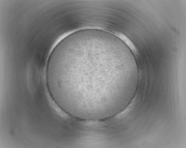 X0000115611052200911241612