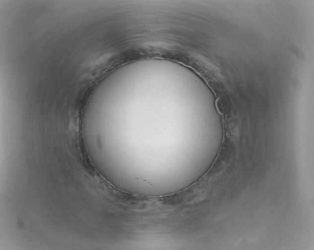 X0000115611061200911241611