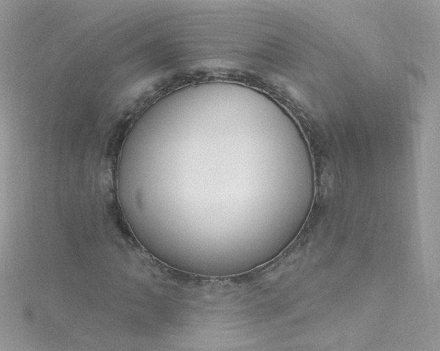 X0000115611062200911241611