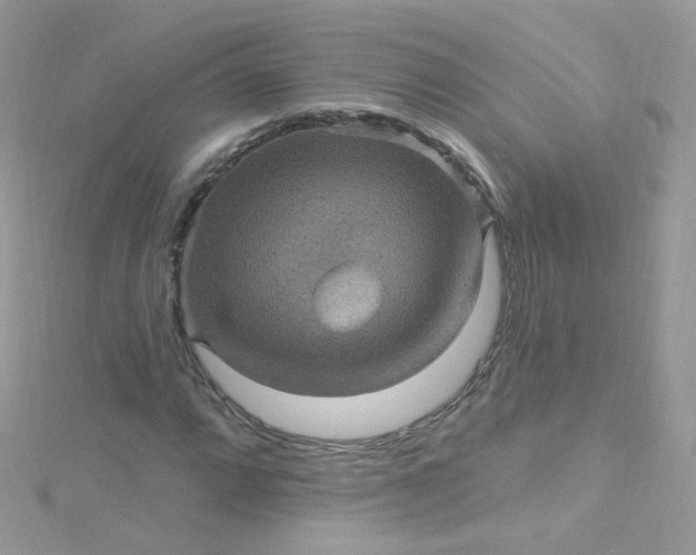 X0000115611064200911241611