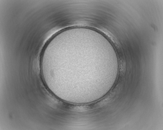 X0000115611078200911241611
