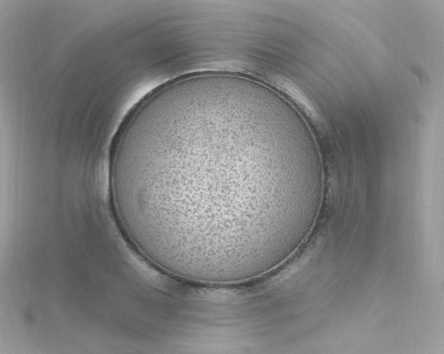 X0000115611079200911241611