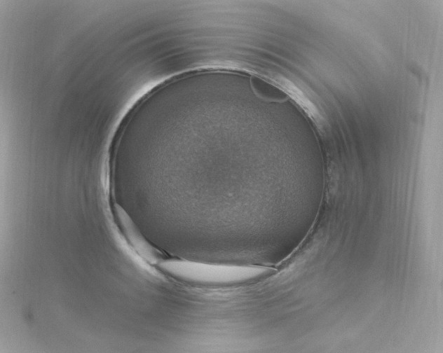 X0000115611084200911241611