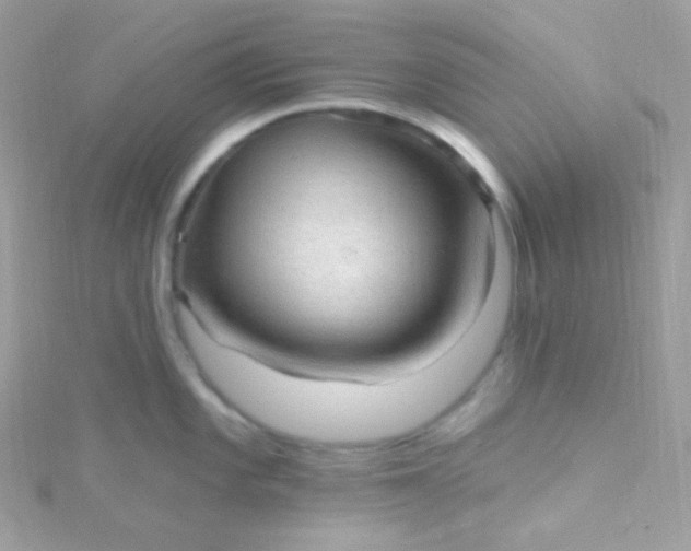 X0000115611101200911241611