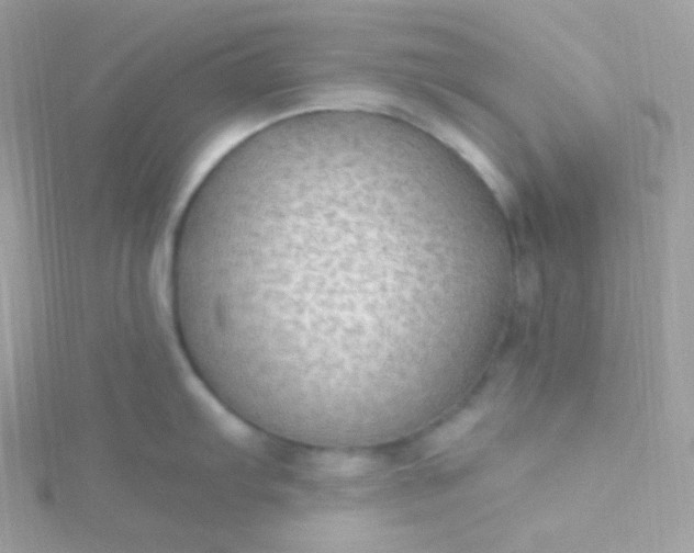X0000115611103200911241611