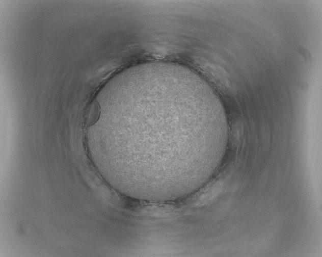 X0000115611105200911241610