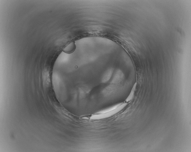 X0000115611106200911241610