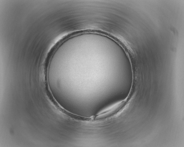 X0000115611118200911241610