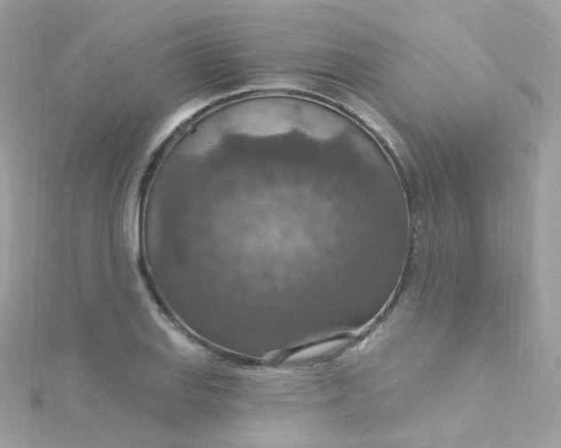 X0000115611127200911241610