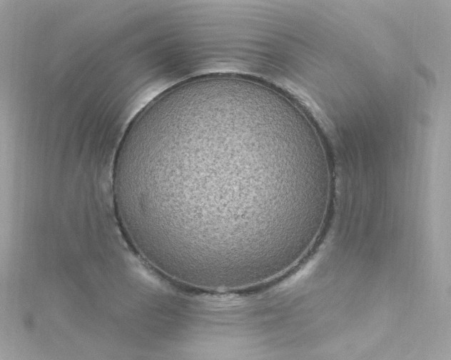 X0000115611129200911241610