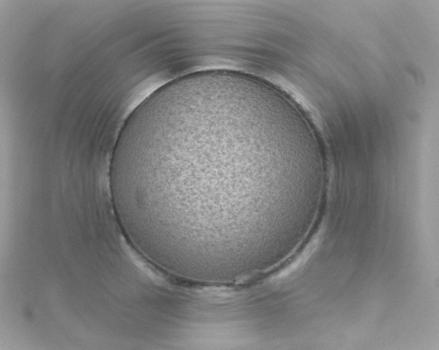 X0000115611137200911241611