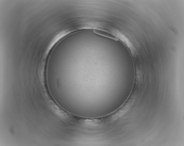 X0000115611138200911241611