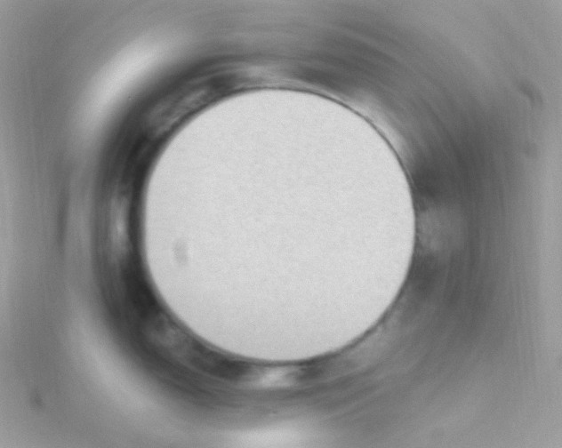 X0000115611150200911241611