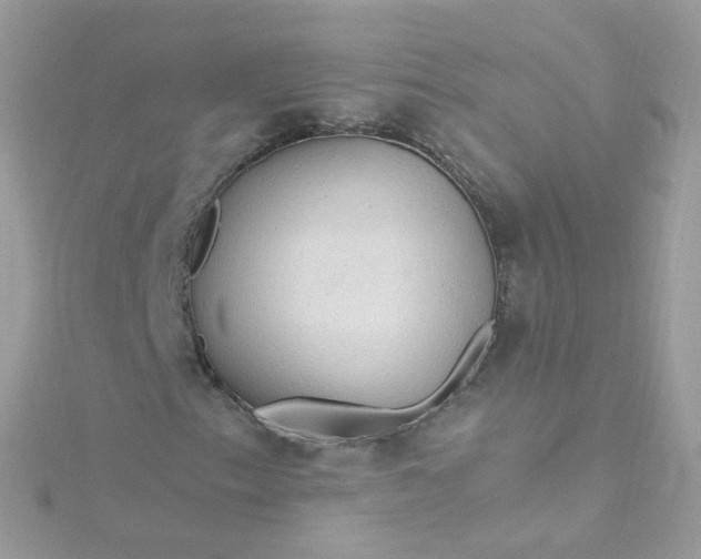 X0000115611153200911241610
