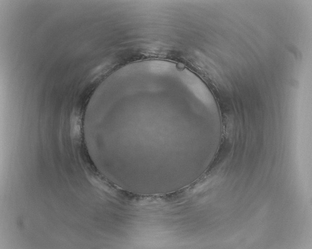 X0000115611154200911241610
