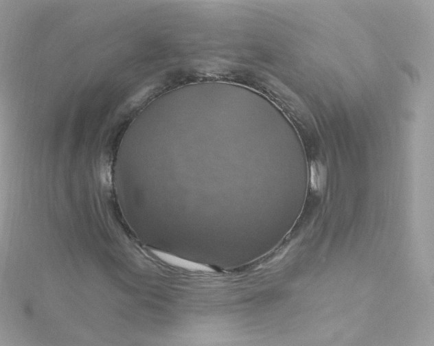 X0000115611155200911241610