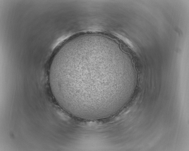 X0000115611160200911241610