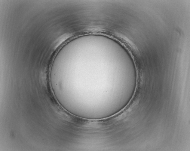 X0000115611162200911241610