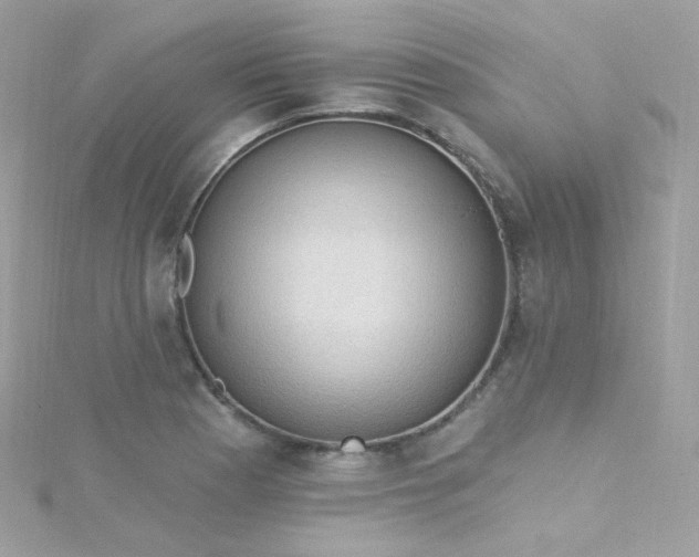 X0000115611177200911241610
