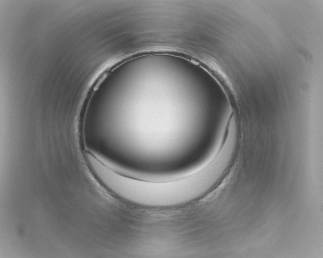 X0000115611181200911241610