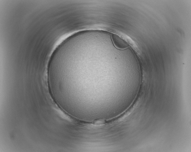 X0000115611184200911241610