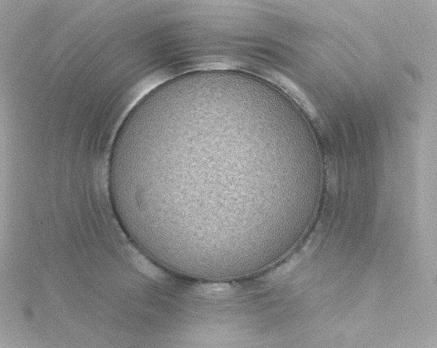 X0000115611186200911241610
