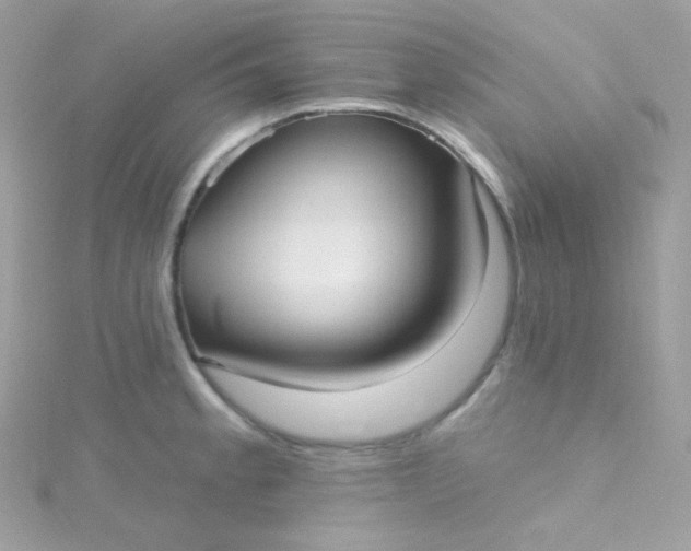 X0000115611189200911241610