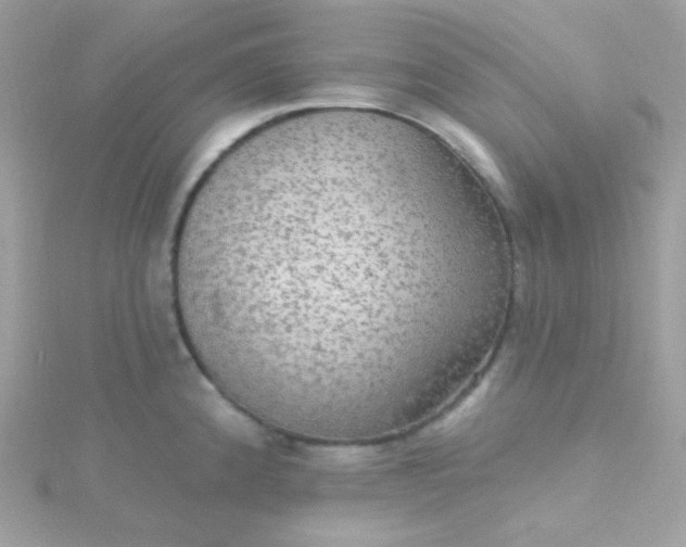 X0000115611192200911241610