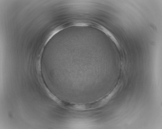 X0000115611194200911241610