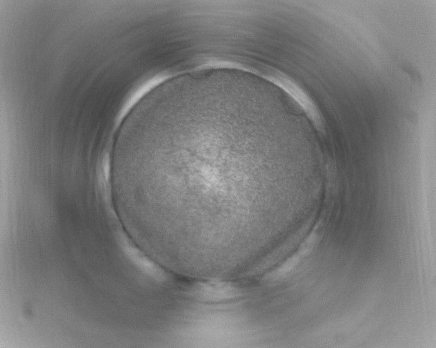 X0000115611198200911241609