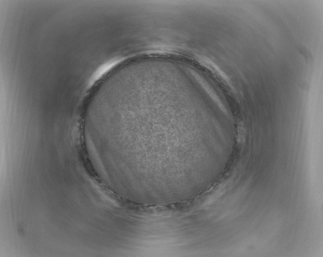 X0000115611208200911241609