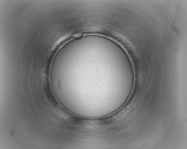 X0000115611210200911241609