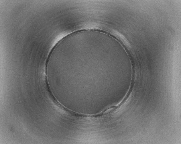 X0000115611226200911241609